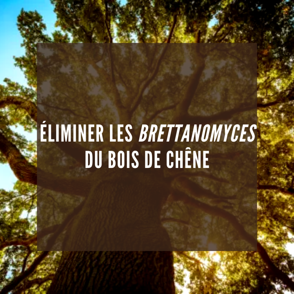 éliminer les Brettanomyces du bois de chêne