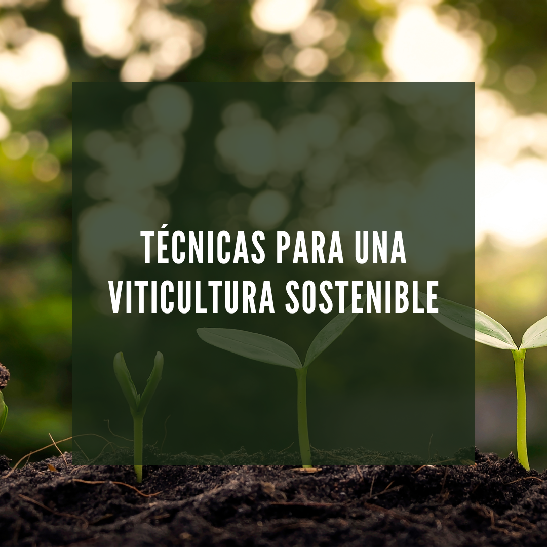 técnicas para una viticultura sostenible