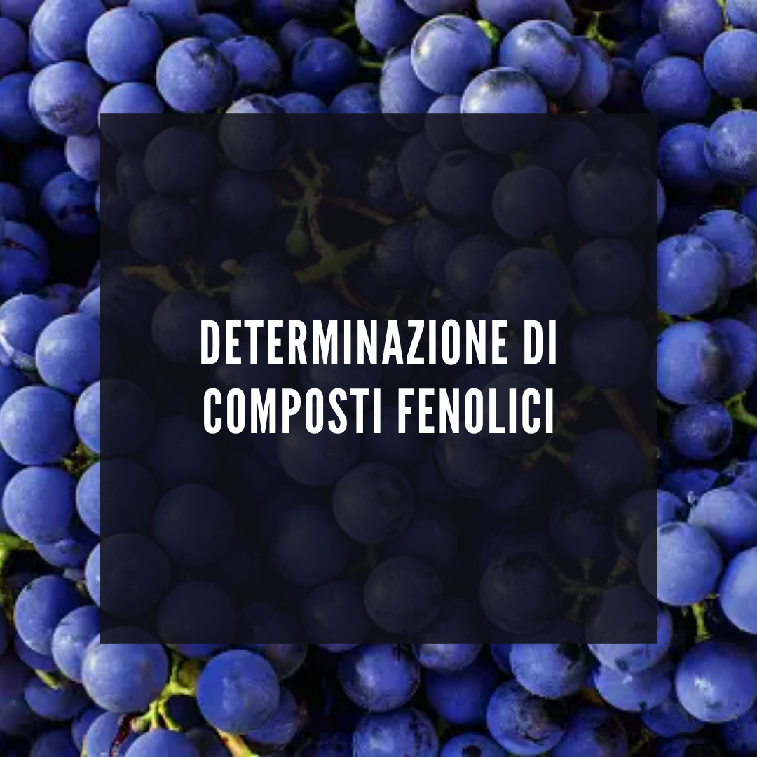 Quantificazione e determinazione di composti fenolici con metodi non invasivi e le interazioni multimodali dei vini rossi