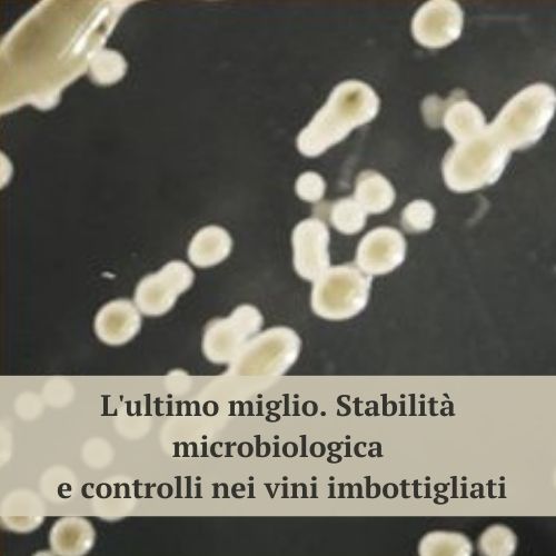 Stabilita-microbiologica-Guzzon