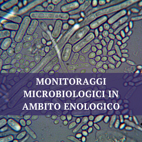 monitoraggi microbiologici