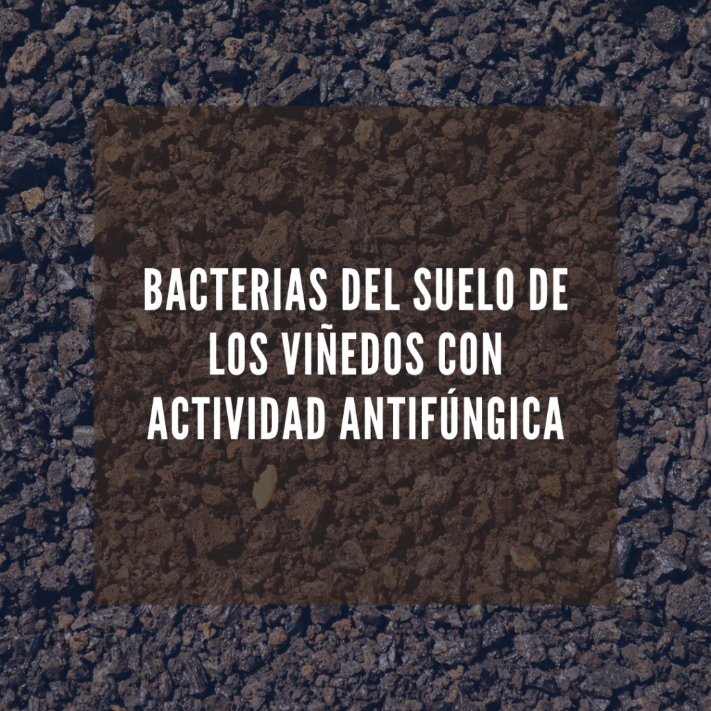 Caracterización de bacterias