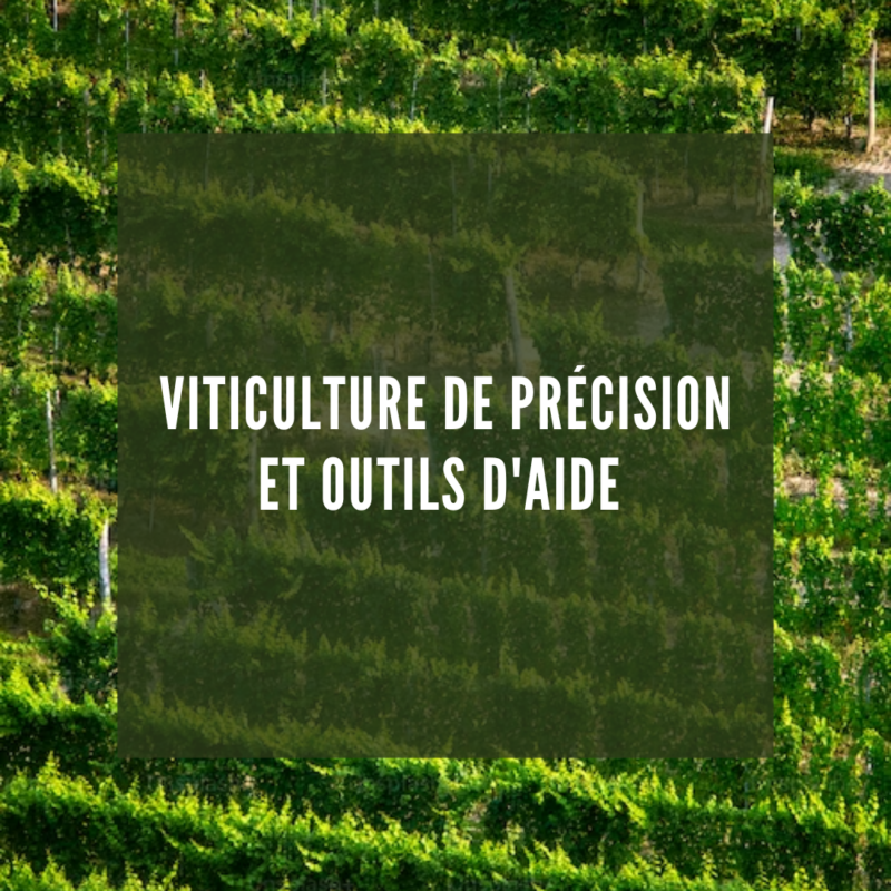 viticulture de précision et outils d'aide